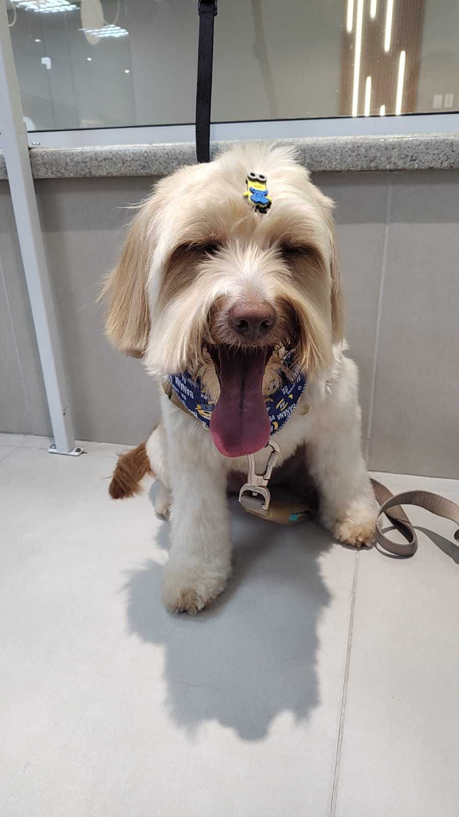 Foto da Galeria